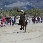 Cavalls per la Joia