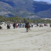 Cavalls per la Joia