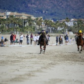 Cavalls per la Joia