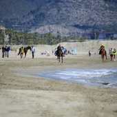 Cavalls per la Joia