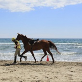 Cavalls per la Joia