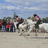 Cavalls per la Joia