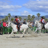 Cavalls per la Joia