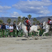 Cavalls per la Joia