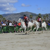 Cavalls per la Joia