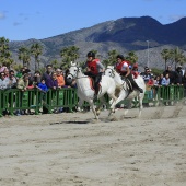 Cavalls per la Joia