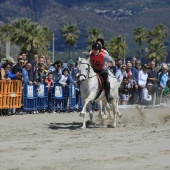 Cavalls per la Joia