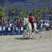 Cavalls per la Joia