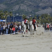 Cavalls per la Joia