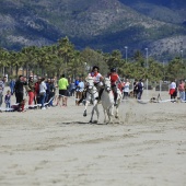 Cavalls per la Joia