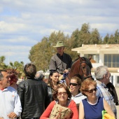 Cavalls per la Joia