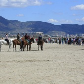 Cavalls per la Joia