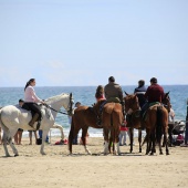 Cavalls per la Joia