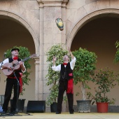 Festival de Danses