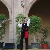 Festival de Danses