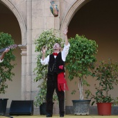 Festival de Danses