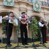 Festival de Danses