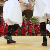 Festival de Danses