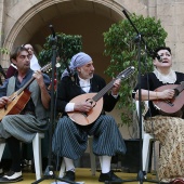 Festival de Danses