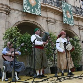 Festival de Danses