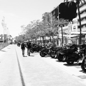 RED PIER FEST