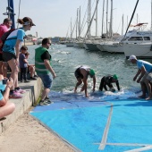 I Triatlón PortCastelló