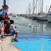 I Triatlón PortCastelló