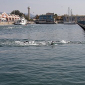 I Triatlón PortCastelló