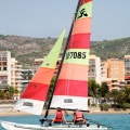 regatas del Trofeo Santo Tomás 2010