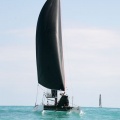 regatas del Trofeo Santo Tomás 2010