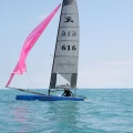regatas del Trofeo Santo Tomás 2010