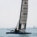 regatas del Trofeo Santo Tomás 2010