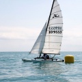 regatas del Trofeo Santo Tomás 2010