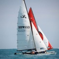 regatas del Trofeo Santo Tomás 2010