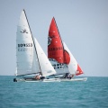 regatas del Trofeo Santo Tomás 2010