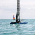 regatas del Trofeo Santo Tomás 2010