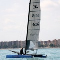 regatas del Trofeo Santo Tomás 2010