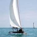 regatas del Trofeo Santo Tomás 2010