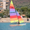 regatas del Trofeo Santo Tomás 2010