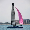 regatas del Trofeo Santo Tomás 2010