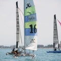 regatas del Trofeo Santo Tomás 2010