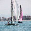 regatas del Trofeo Santo Tomás 2010