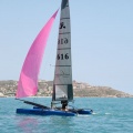 regatas del Trofeo Santo Tomás 2010