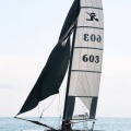 regatas del Trofeo Santo Tomás 2010