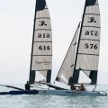 regatas del Trofeo Santo Tomás 2010
