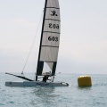 regatas del Trofeo Santo Tomás 2010