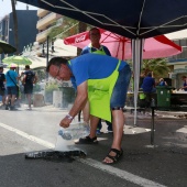 Día de las Paellas