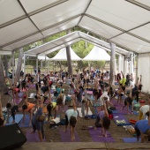 Festival de yoga de verano