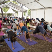 Festival de yoga de verano