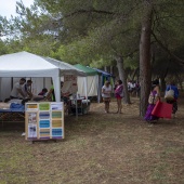 Festival de yoga de verano
